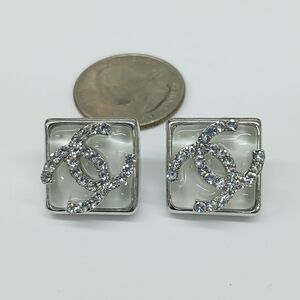 Elegant Silver Earrings